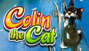 Colin the Cat