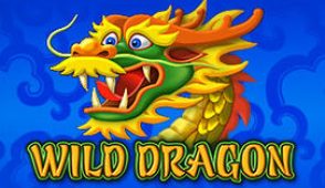 Wild Dragon