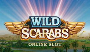 Wild Scarabs