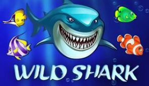 Wild Shark